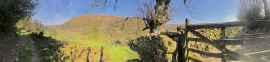 The Muker Ash