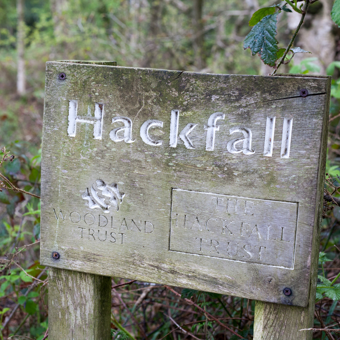 Hidden Hackfall Exhibition