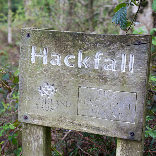 Hidden Hackfall Exhibition