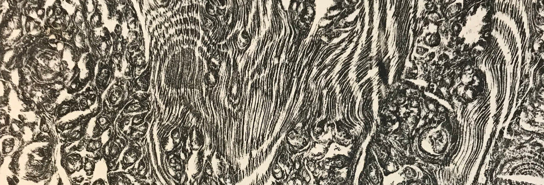 Creating a Durham Oak Wood print on BBC1 Countryfile