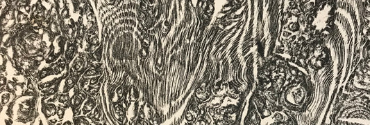 Creating a Durham Oak Wood print on BBC1 Countryfile
