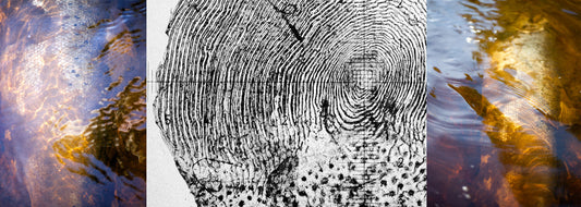 Salmon Scale Woodcut