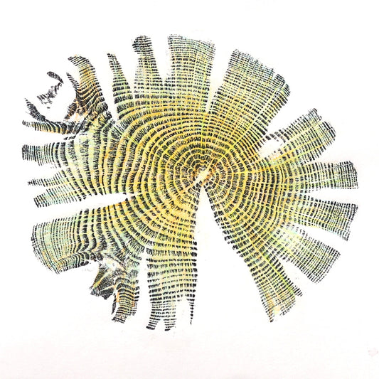 Shona Branigan Tree Ring Print Grizedale Oak