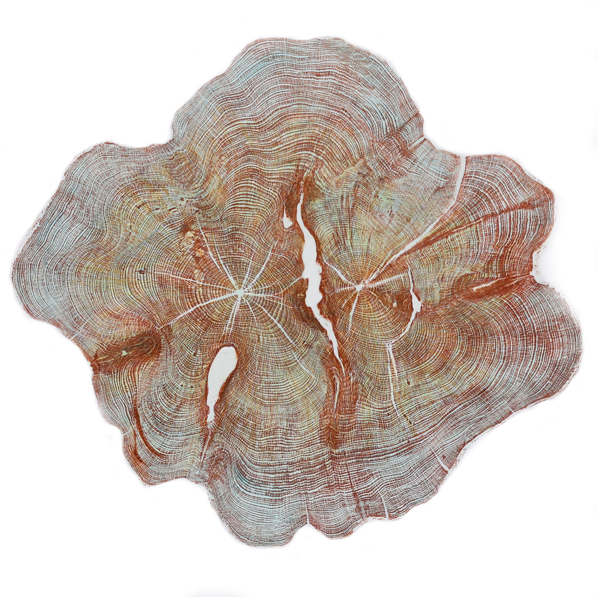 Shona Branigan Tree Ring Print (B) Cheeseburn Grange Yew