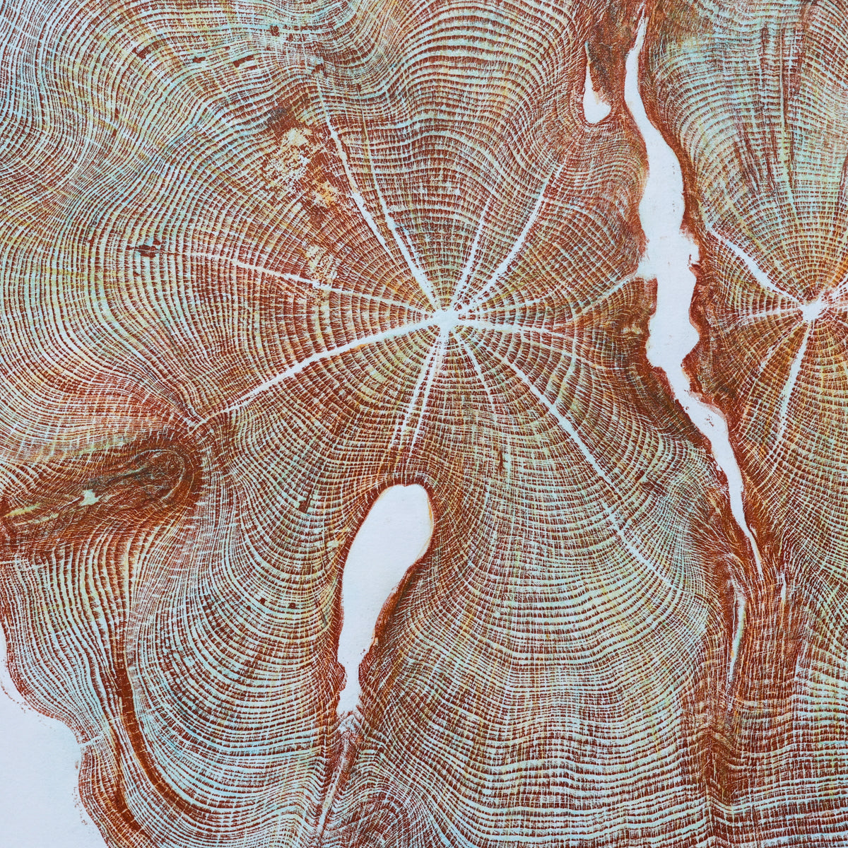 Shona Branigan Tree Ring Print (B) Cheeseburn Grange Yew