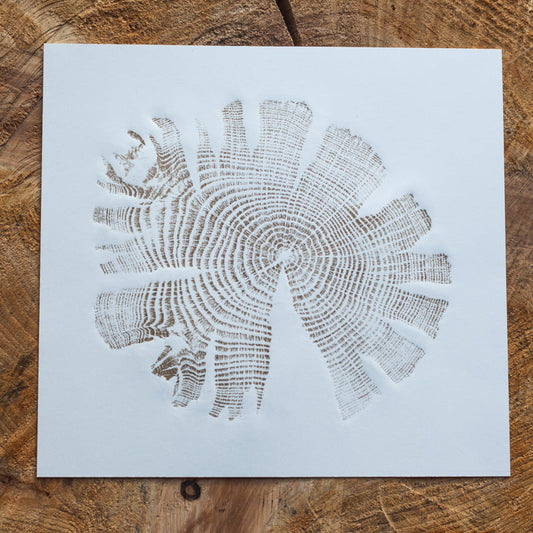 Shona Branigan Tree Ring Print Grizedale Oak
