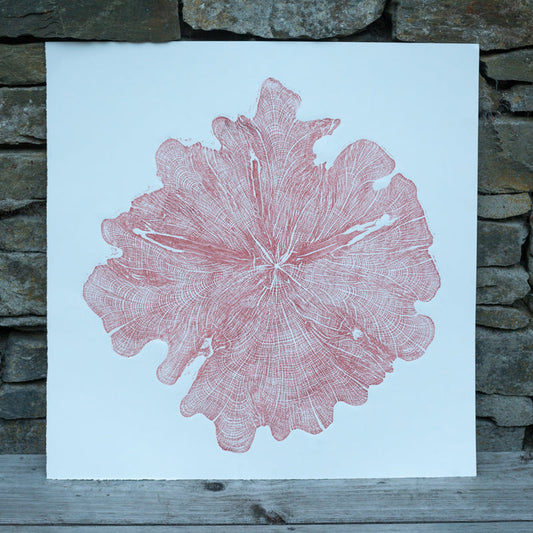 Shona Branigan Tree Ring Print Northumberland Yew 1913-2018 (B)