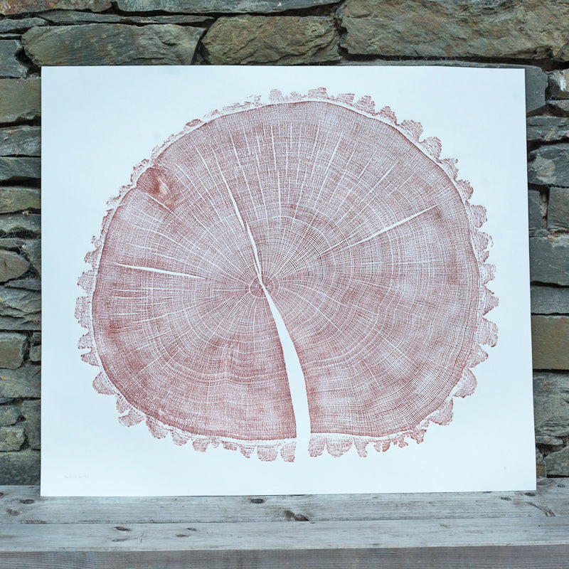 Shona Branigan Tree Ring Print Allen Banks Oak 1828-2017