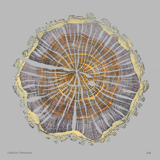 Shona Branigan Giclee tree Print Caxton Damson
