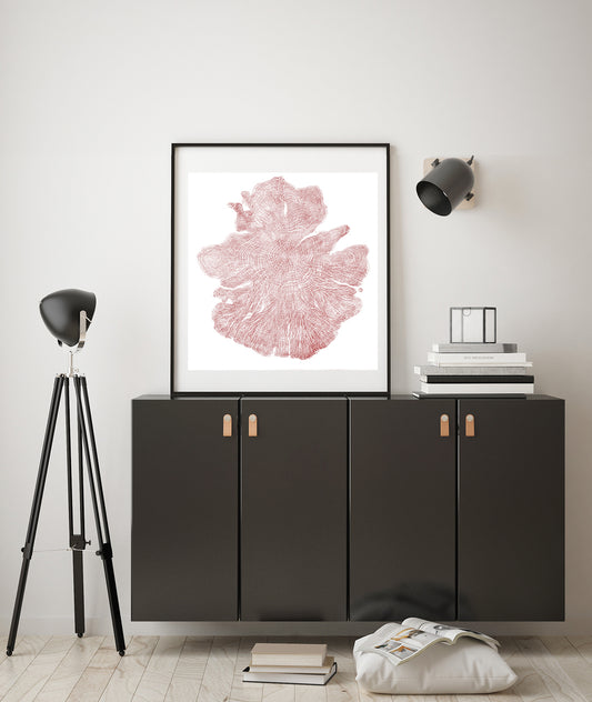 Shona Branigan Tree Ring Print Kirby Alder