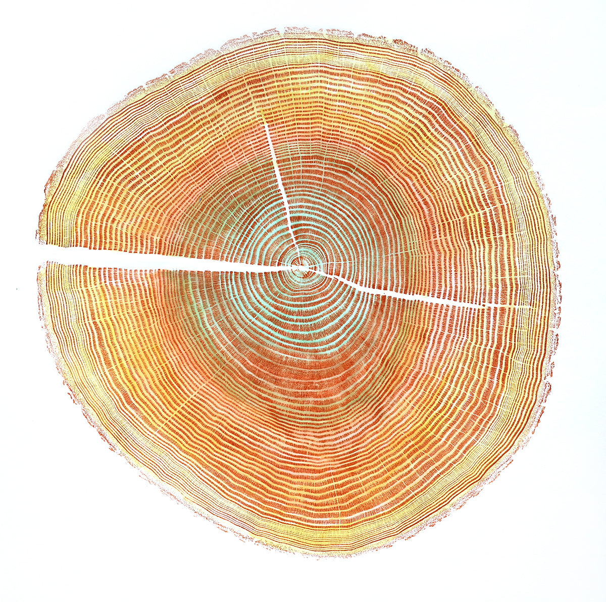 Shona Branigan Tree Ring Print Andover Ash