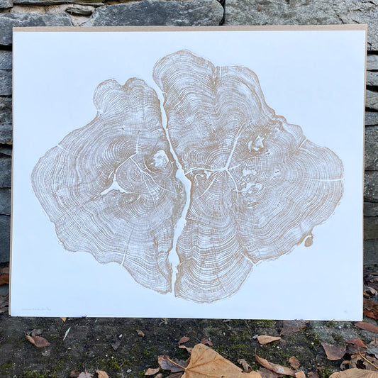 Shona Branigan Tree Ring Print (A) Cheeseburn Grange Yew