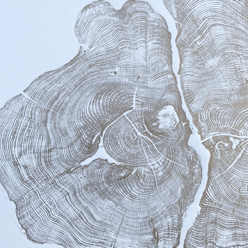 Shona Branigan Tree Ring Print (A) Cheeseburn Grange Yew