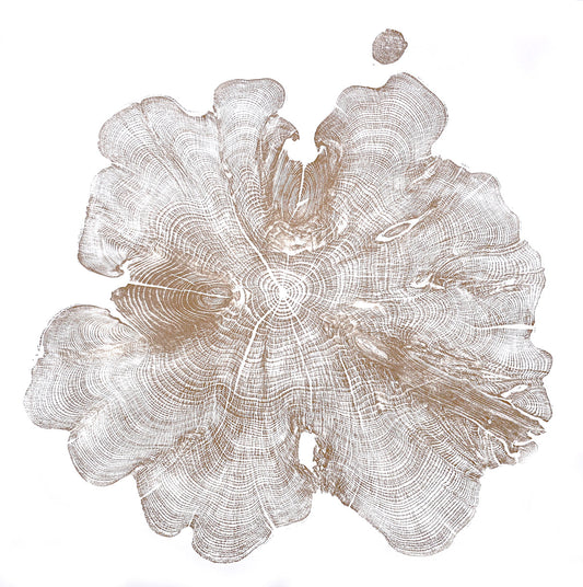 Shona Branigan Tree Ring Print Cumbrian Yew 1932-2018 A+C