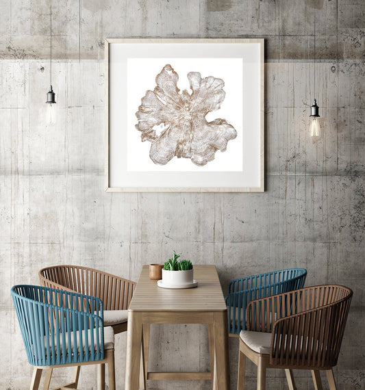 Shona Branigan Tree Ring Print Cumbrian Yew 1932-2018 (C)