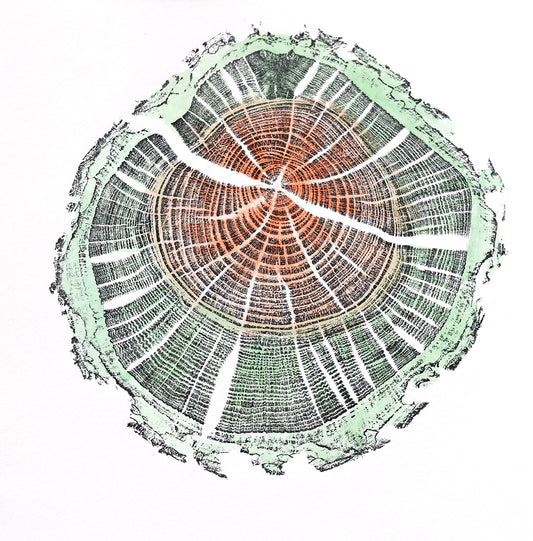 Shona Branigan Tree ring Print Caxton Damson (small)