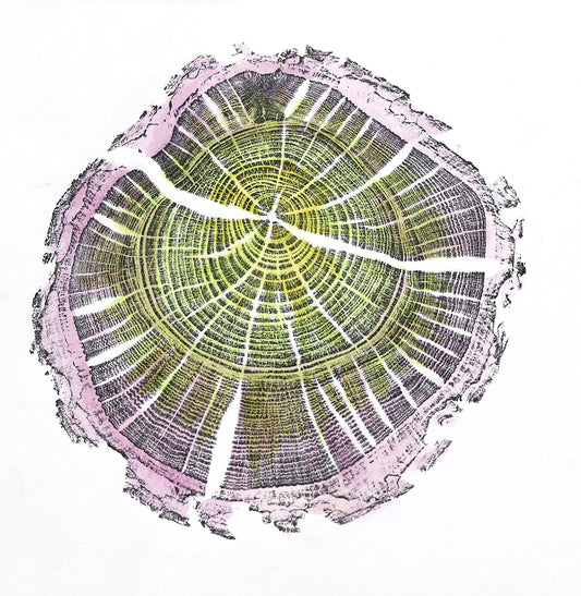 Shona Branigan Tree ring Print Caxton Damson (small)