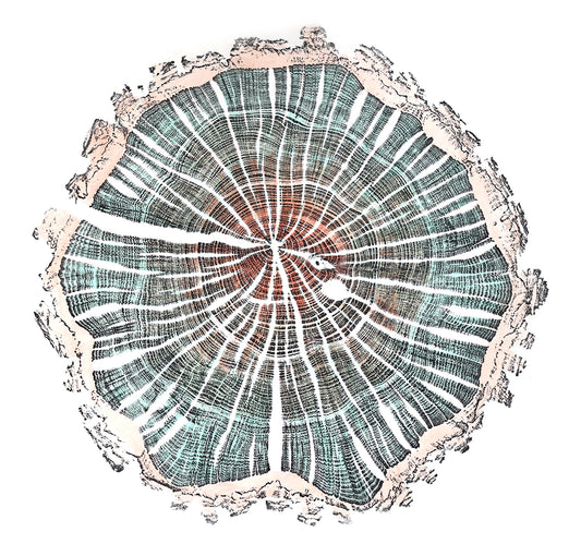Shona Branigan Tree Ring Print Caxton Village Damson