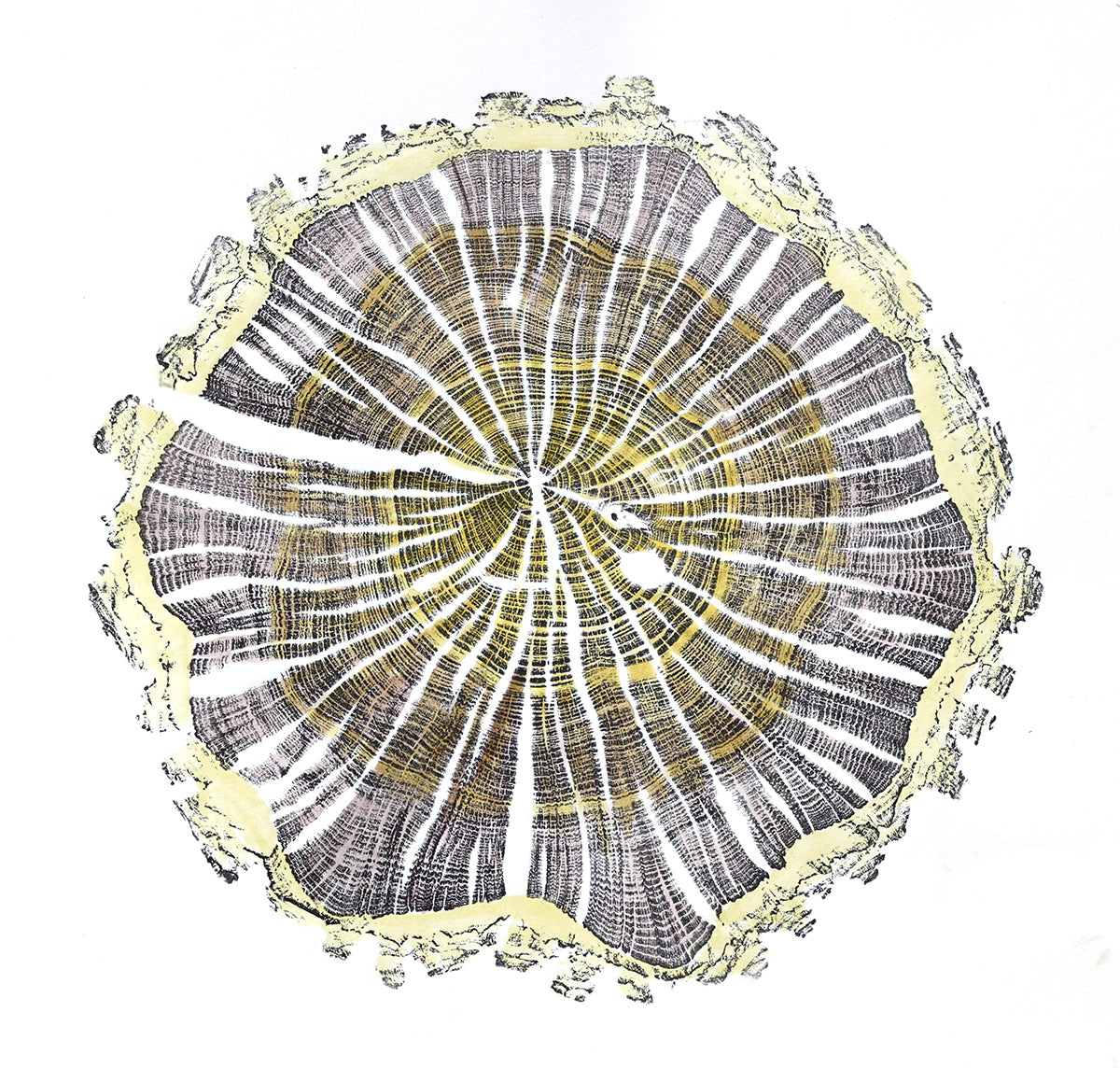 Shona Branigan Tree Ring Print Caxton Village Damson