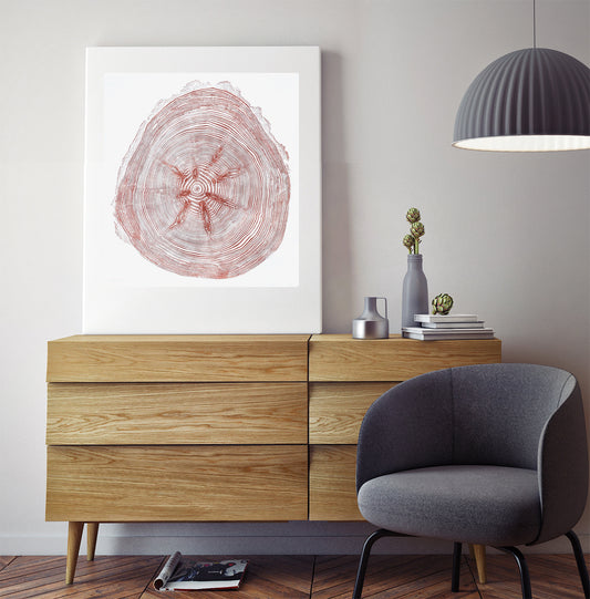 Shona Branigan Tree Ring Print Grizedale Douglas-Fir 1955-2021