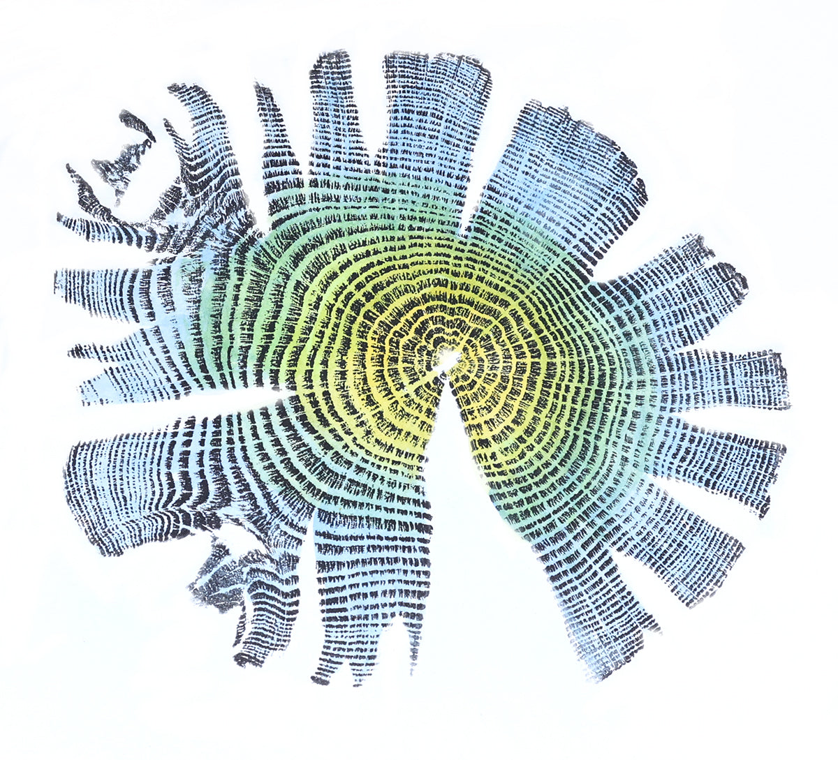 Shona Branigan Tree Ring Print Grizedale Oak