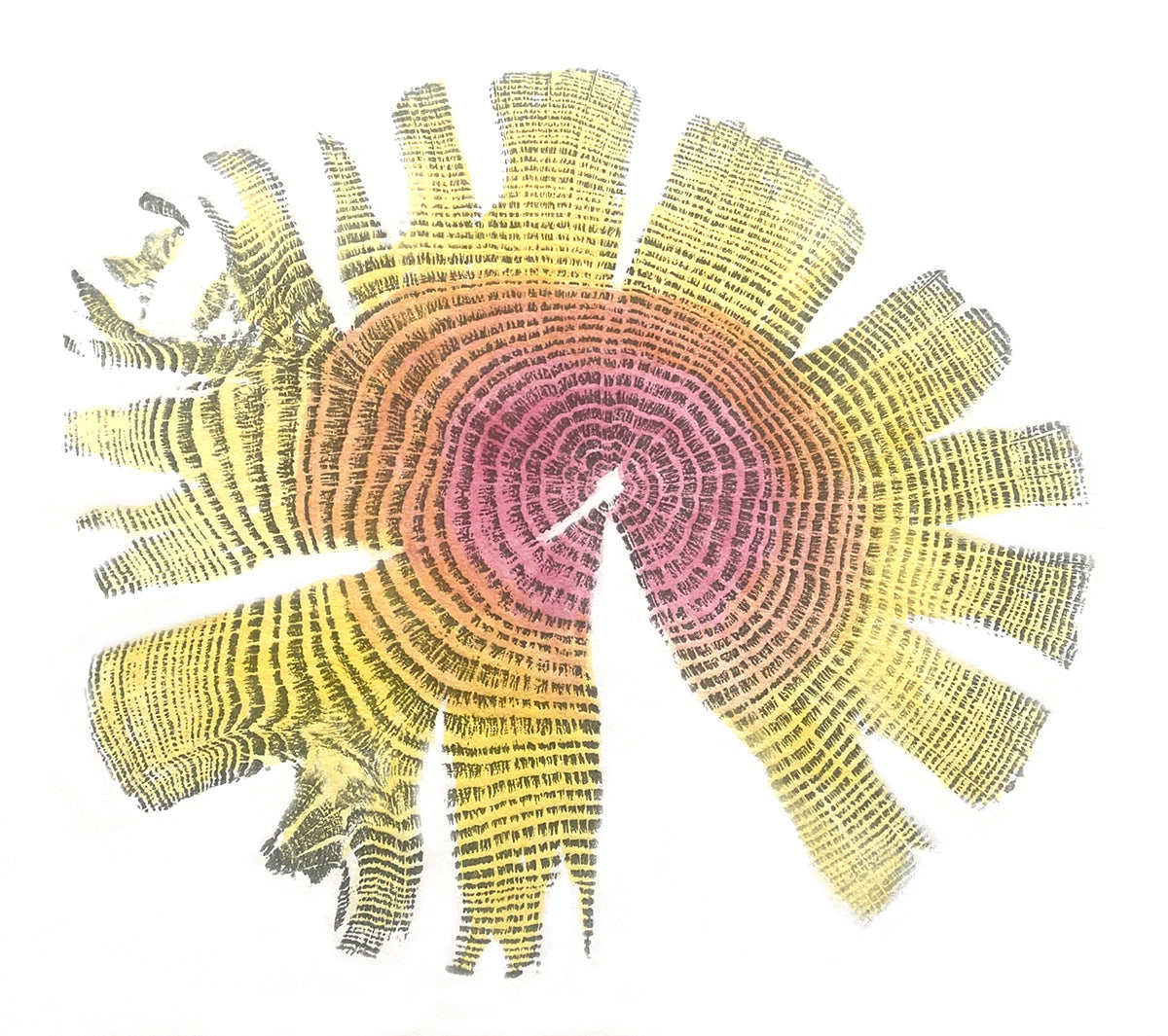 Shona Branigan Tree Ring Print Grizedale Oak