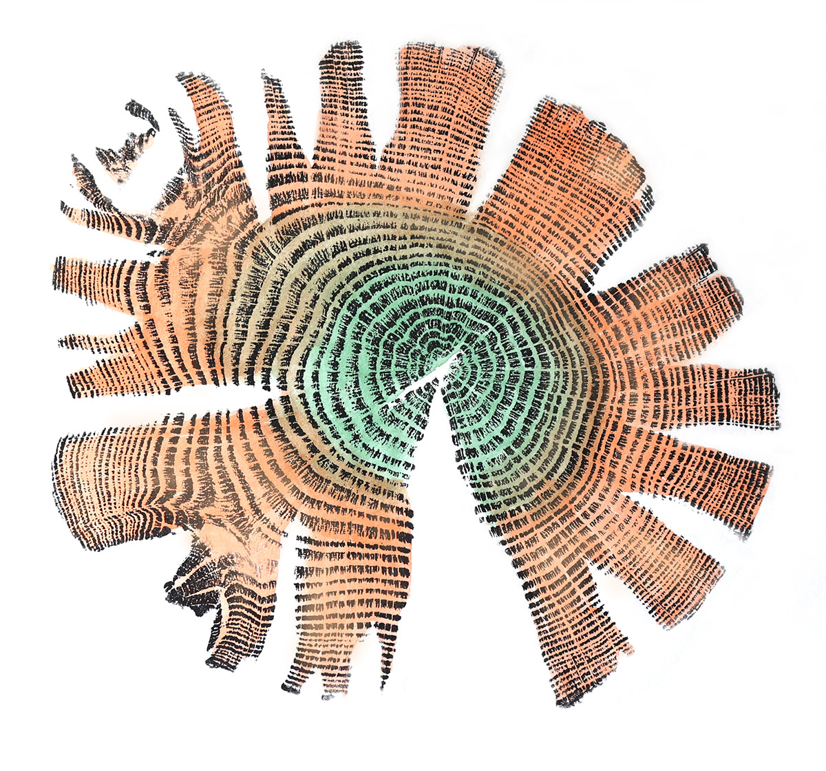 Shona Branigan Tree Ring Print Grizedale Oak