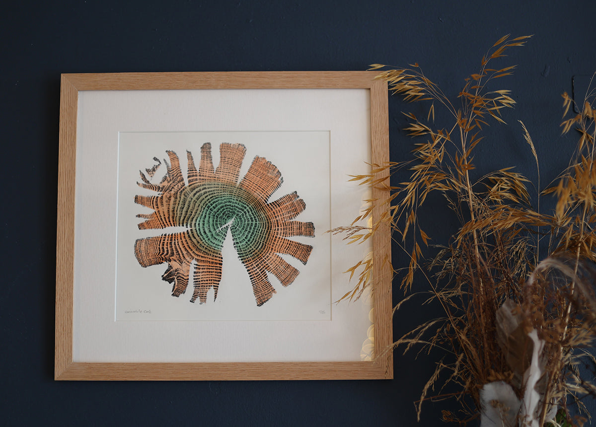 Shona Branigan Tree Ring Print Grizedale Oak