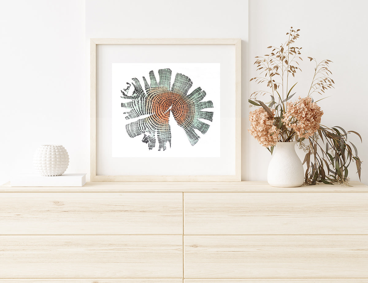 Shona Branigan Tree Ring Print Grizedale Oak