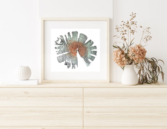 Shona Branigan Tree Ring Print Grizedale Oak