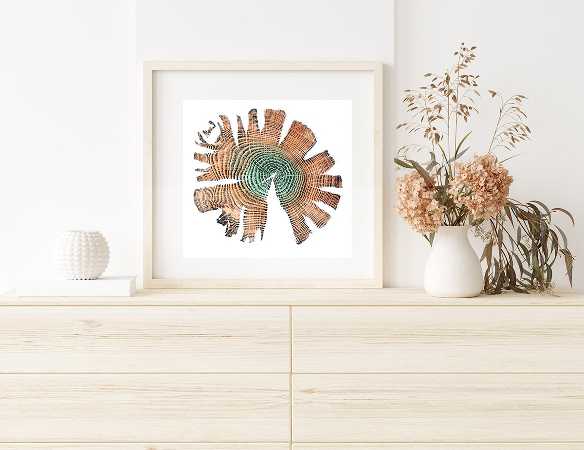 Shona Branigan Tree Ring Print Grizedale Oak