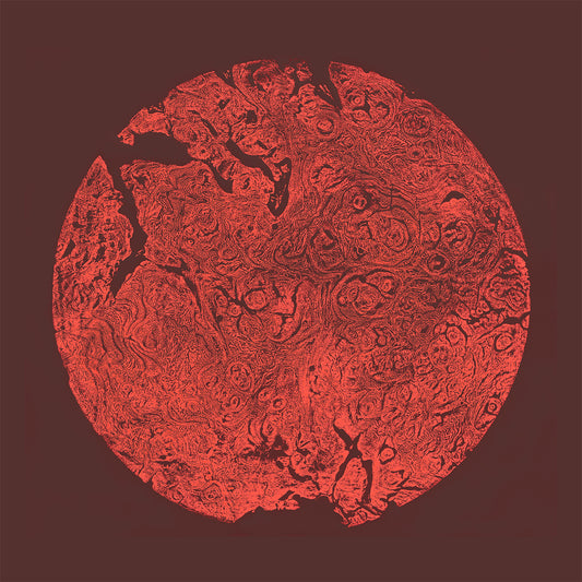 Shona Branigan Giclee Tree print Jupiter Elm