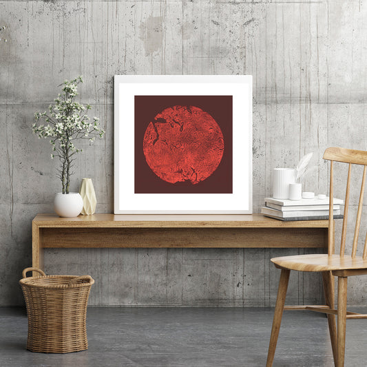 Shona Branigan Giclee Tree print Jupiter Elm