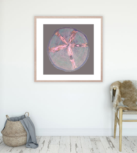 Shona Branigan Giclee Tree Print Grizedale Monkey Puzzle