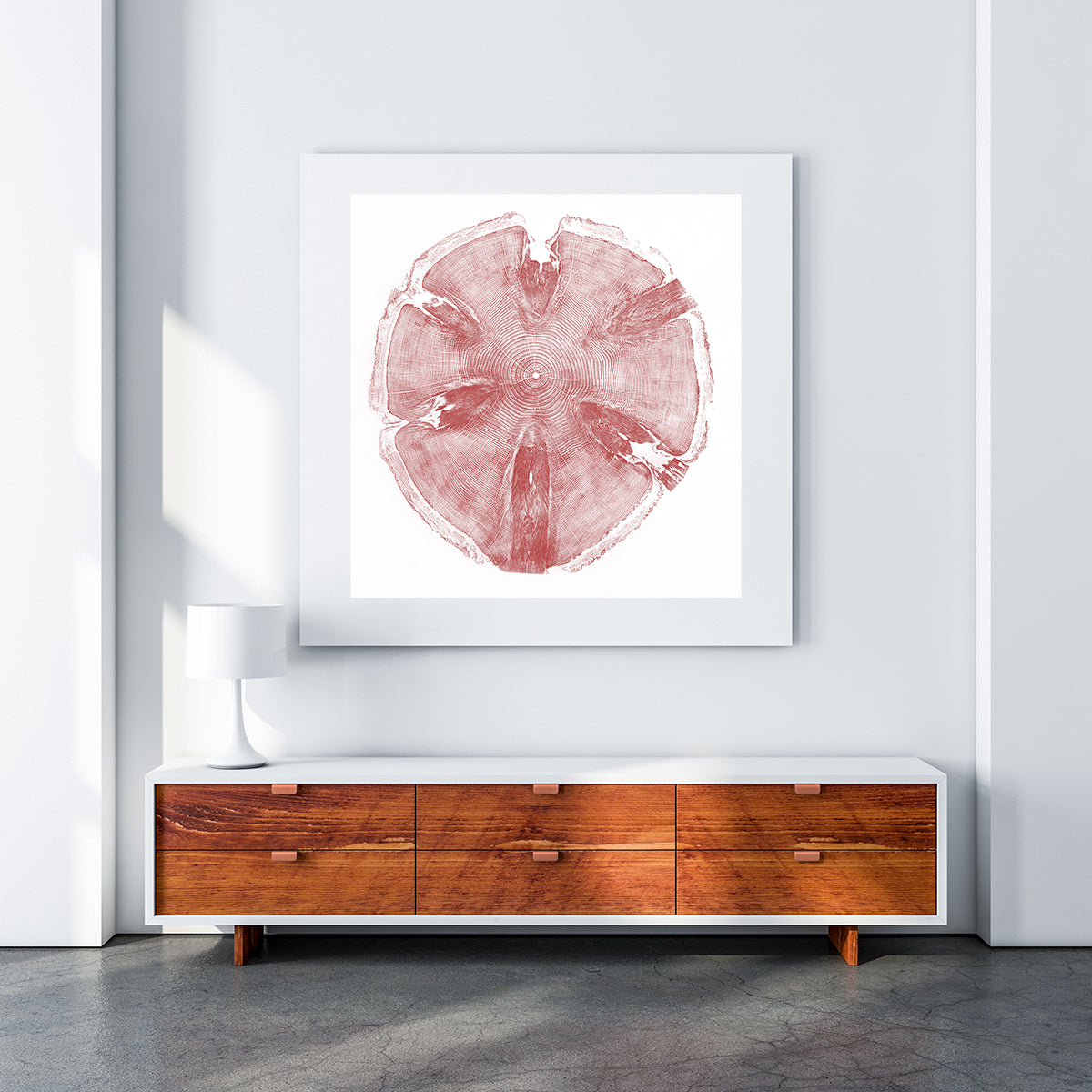 Shona Branigan Tree Ring Print Monkey Puzzle
