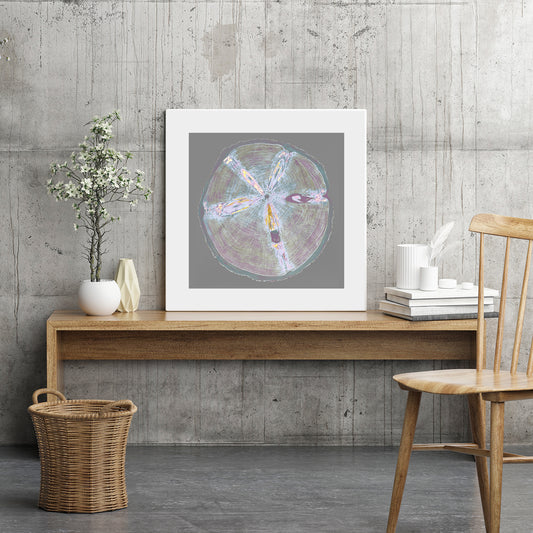 Shona Branigan Giclee Tree Print Grizedale Monkey Puzzle