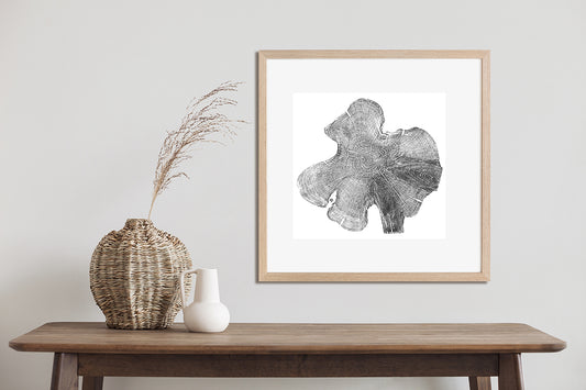 Shona Branigan Tree Ring Print Northumberland Yew