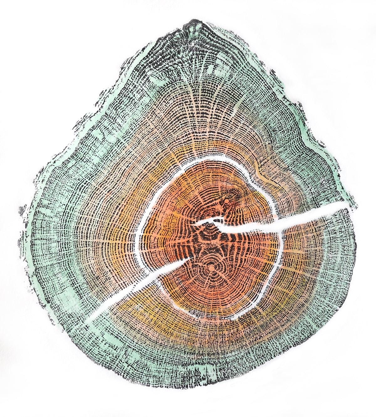 Shona Branigan Tree Ring Print Cumbrian Oak