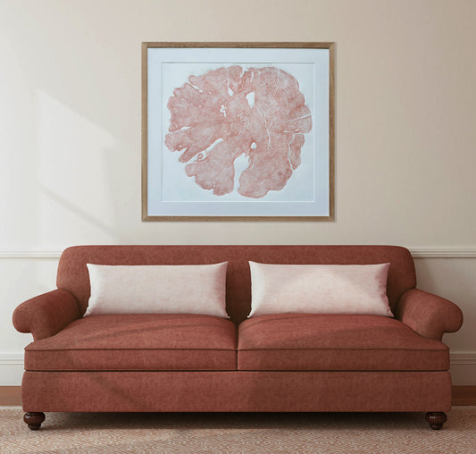 Shona Branigan Tree Ring Print Allen Banks Yew 1822-2018