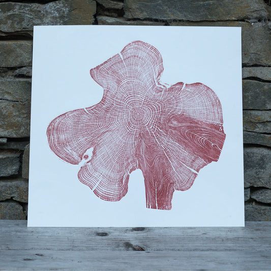 Shona Branigan Tree Ring Print Northumberland Yew