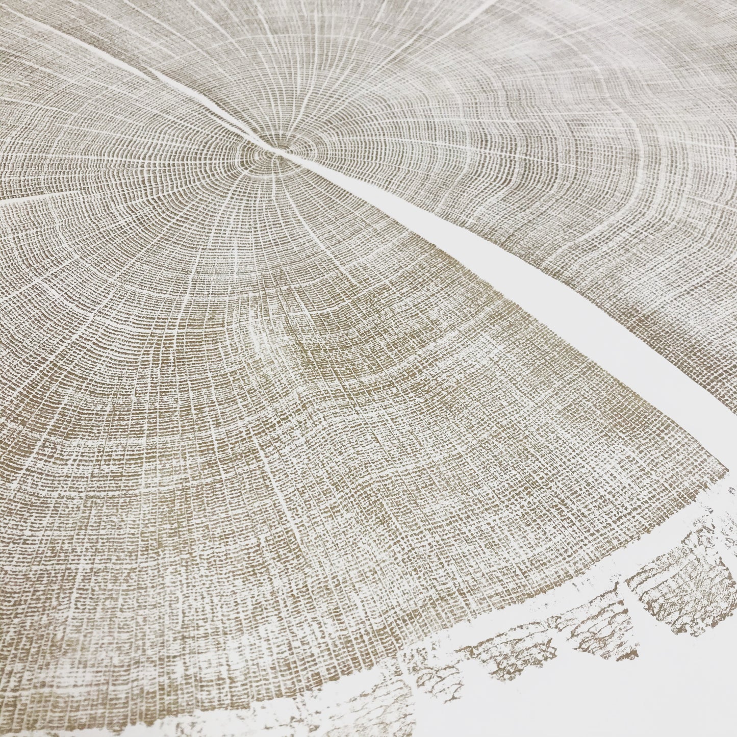 Shona Branigan Tree Ring Print Allen Banks Oak 1828-2017