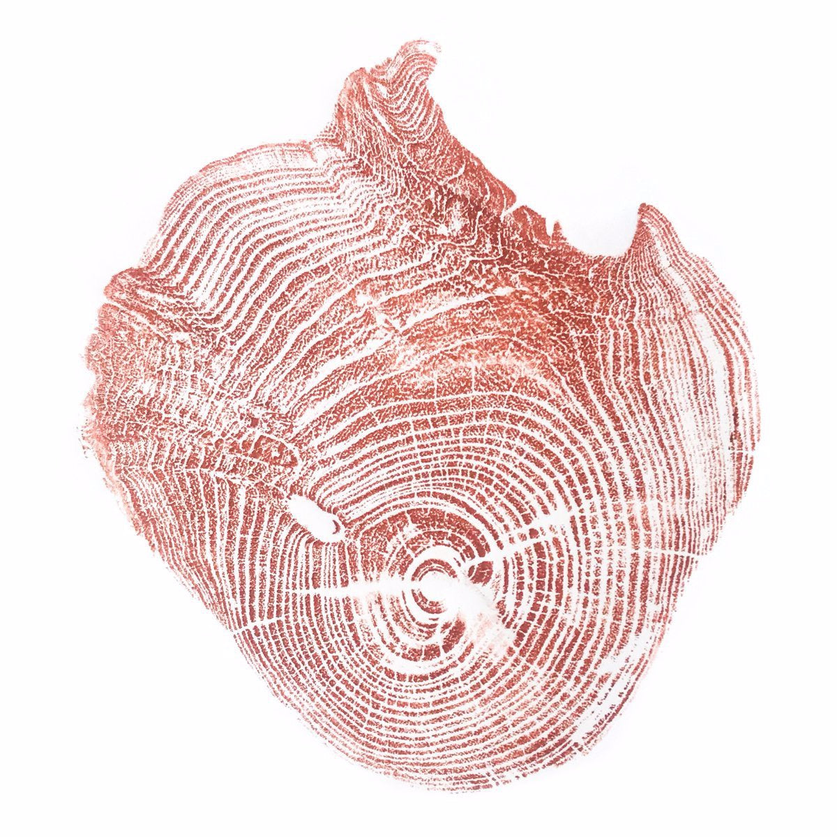 Shona Branigan Tree Ring Print Lancaster Castle Mulberry (A)