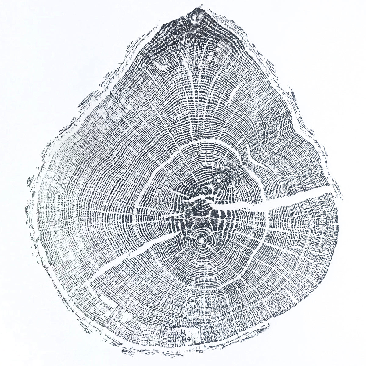 Shona Branigan Tree Ring Print Cumbrian Oak