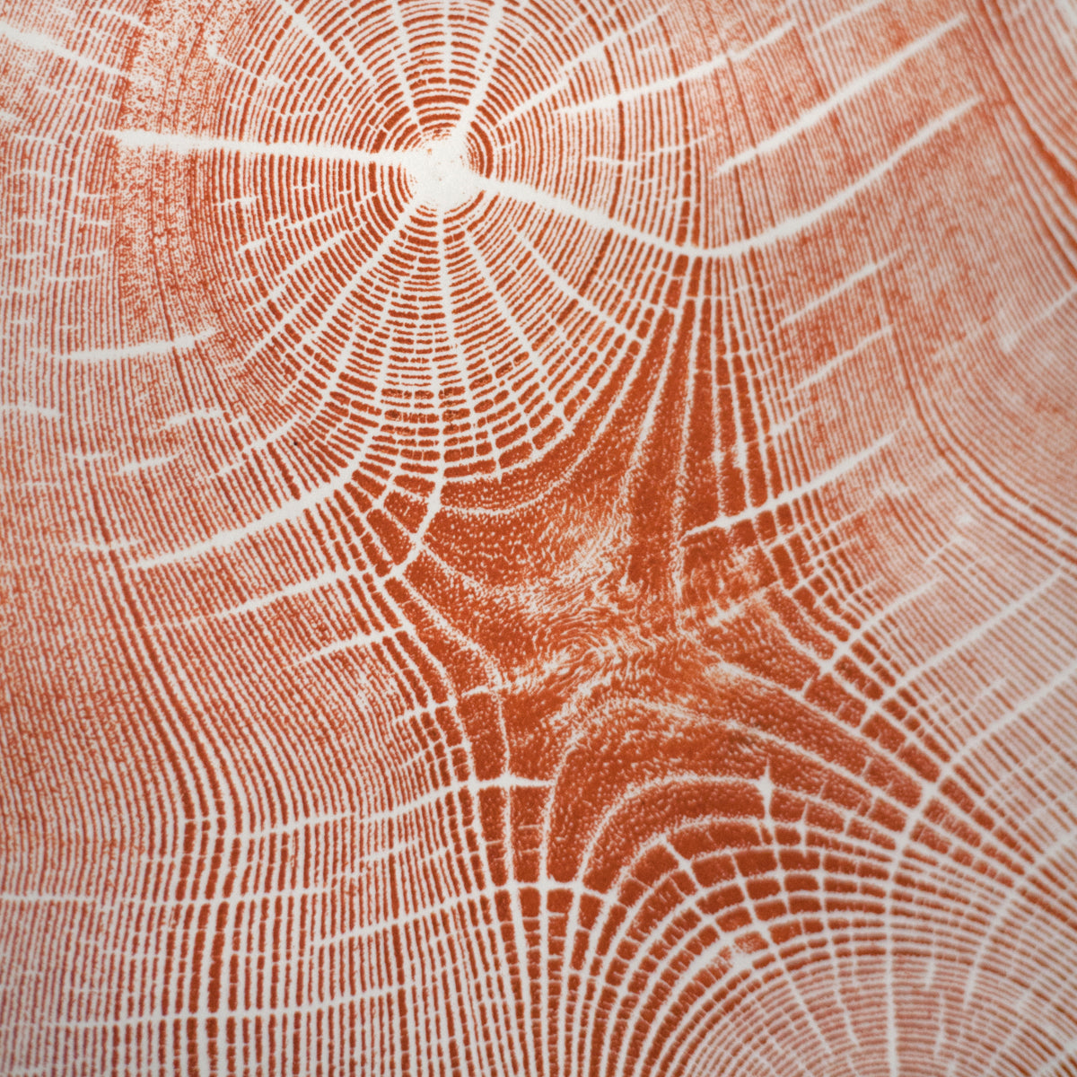 Shona Branigan Tree Ring Print (A) Swaledale Ash