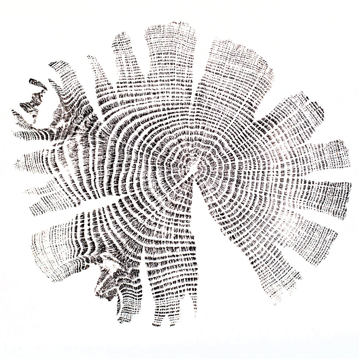 Shona Branigan Tree Ring Print Grizedale Oak