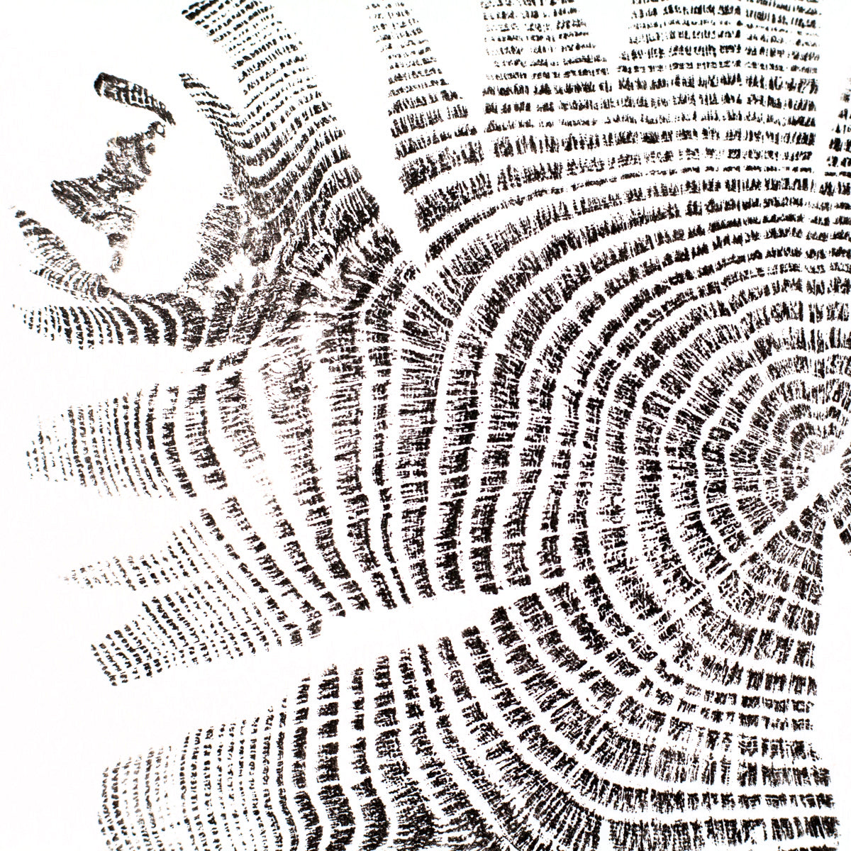 Shona Branigan Tree Ring Print Grizedale Oak