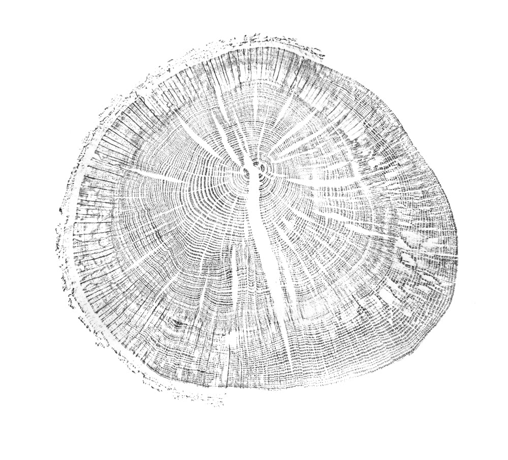 Shona Branigan Tree Ring Print Cumbrian Oak Round