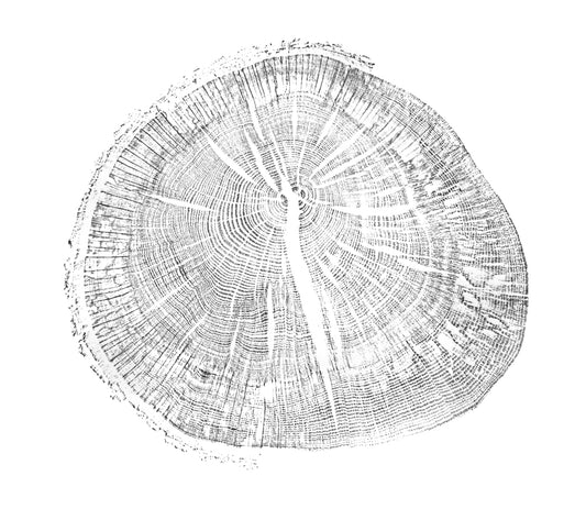 Shona Branigan Tree Ring Print Cumbrian Oak Round