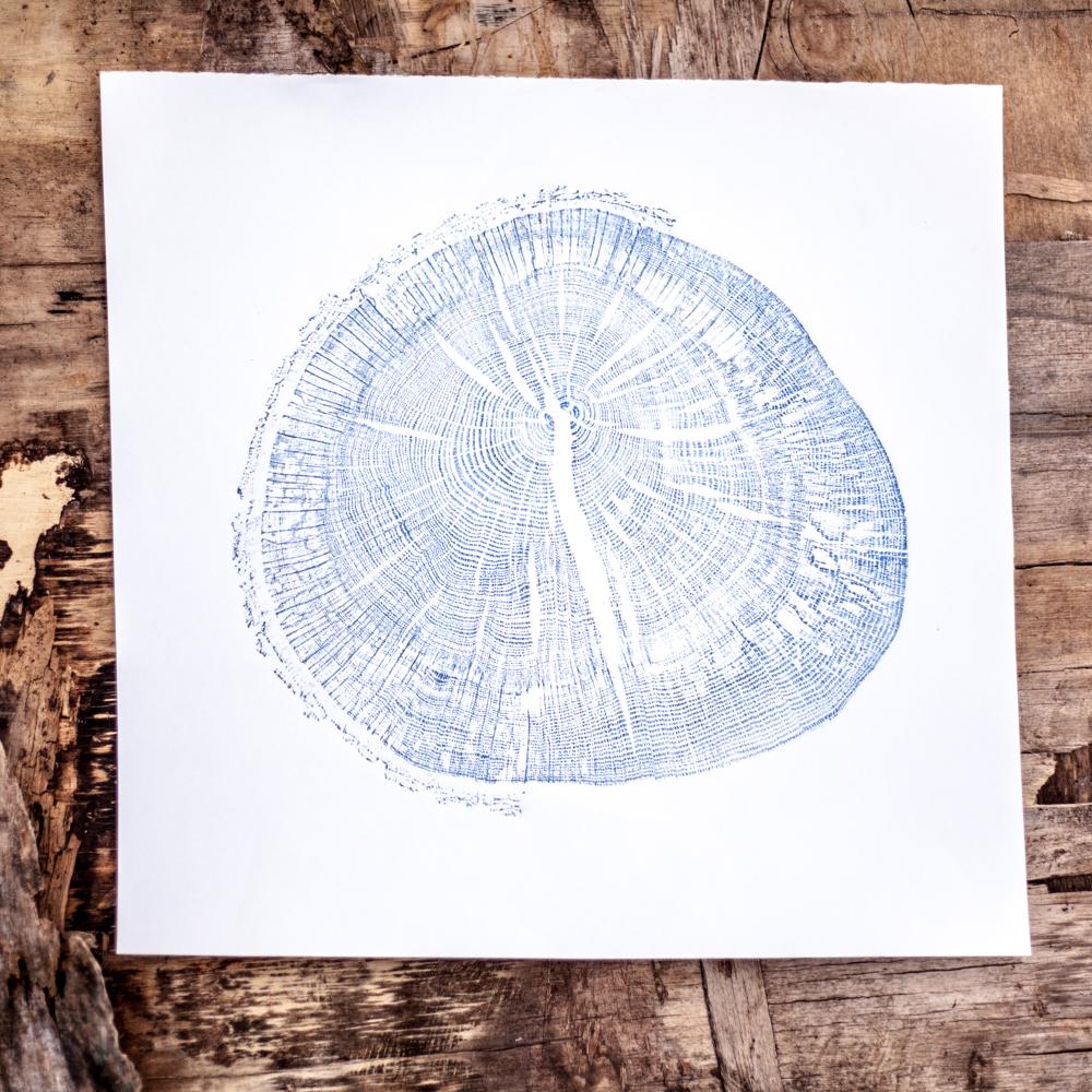 Shona Branigan Tree Ring Print Cumbrian Oak Round