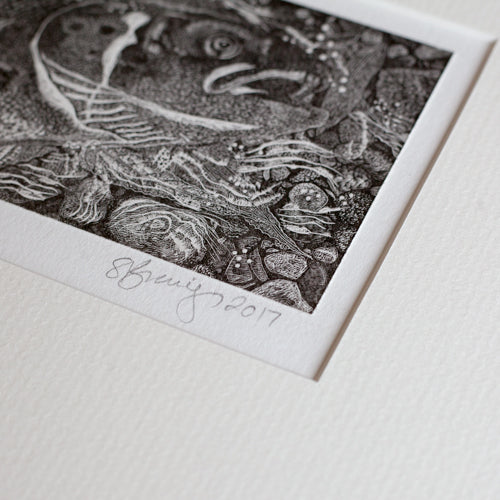 mounted original wood engraving art prints of River Tyne Salmon